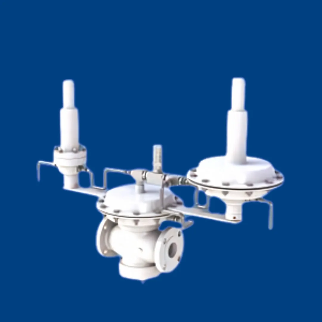 Gas Pressure Regulator