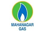 Nirmal-Industrial-Control-Clientele-Mahanagar-Gas